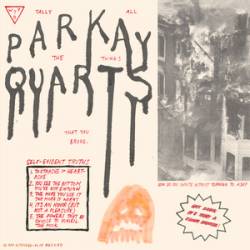 Parquet Courts : Tally All the Things That You Broke